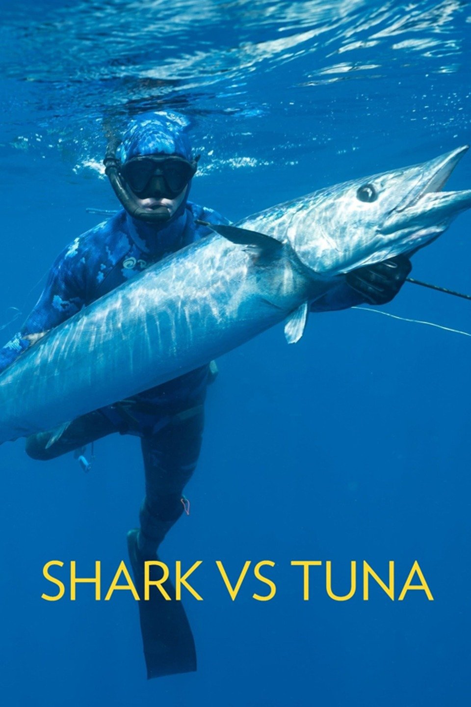 Shark Vs Tuna