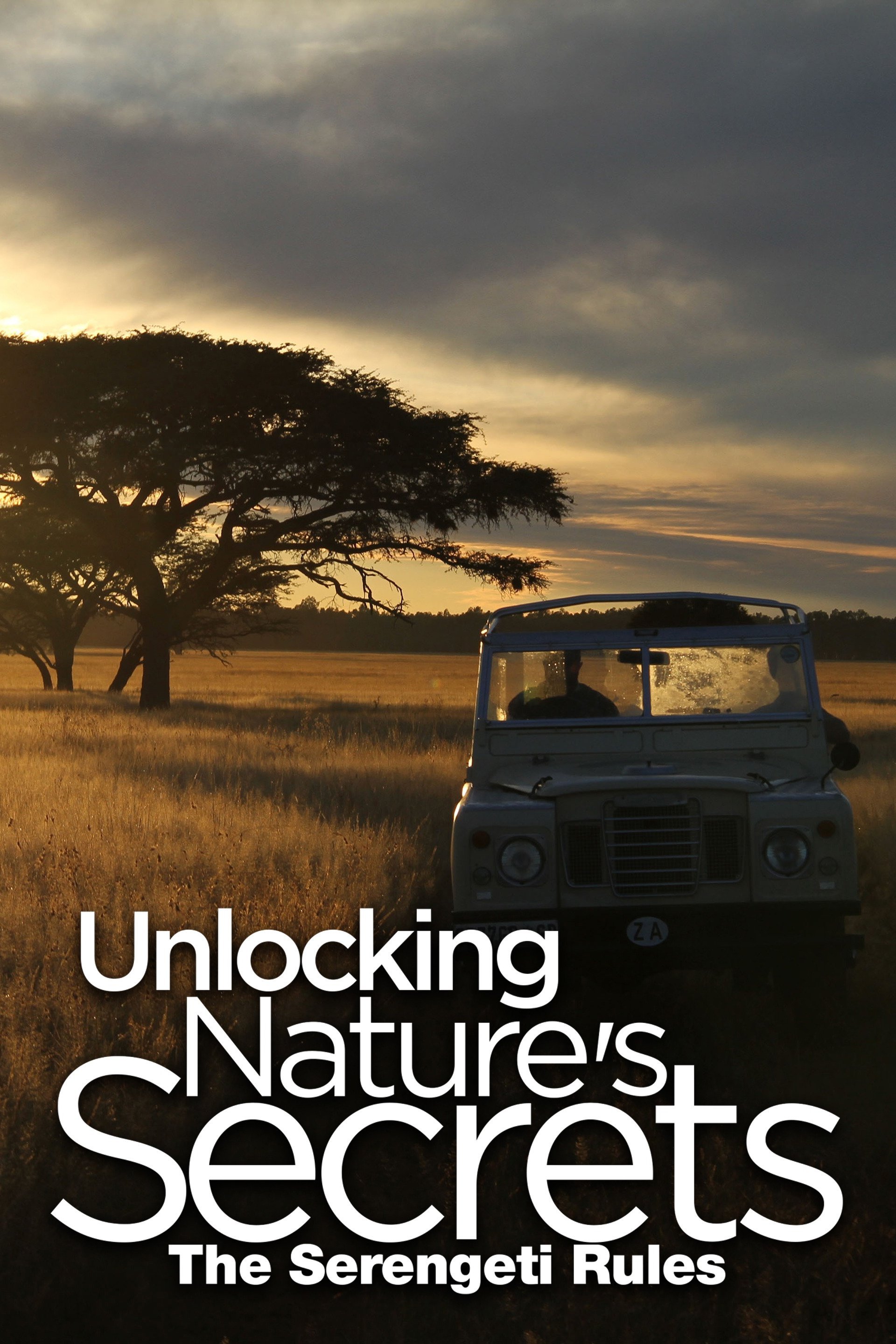 unlocking-nature-s-secrets-the-serengeti-rules