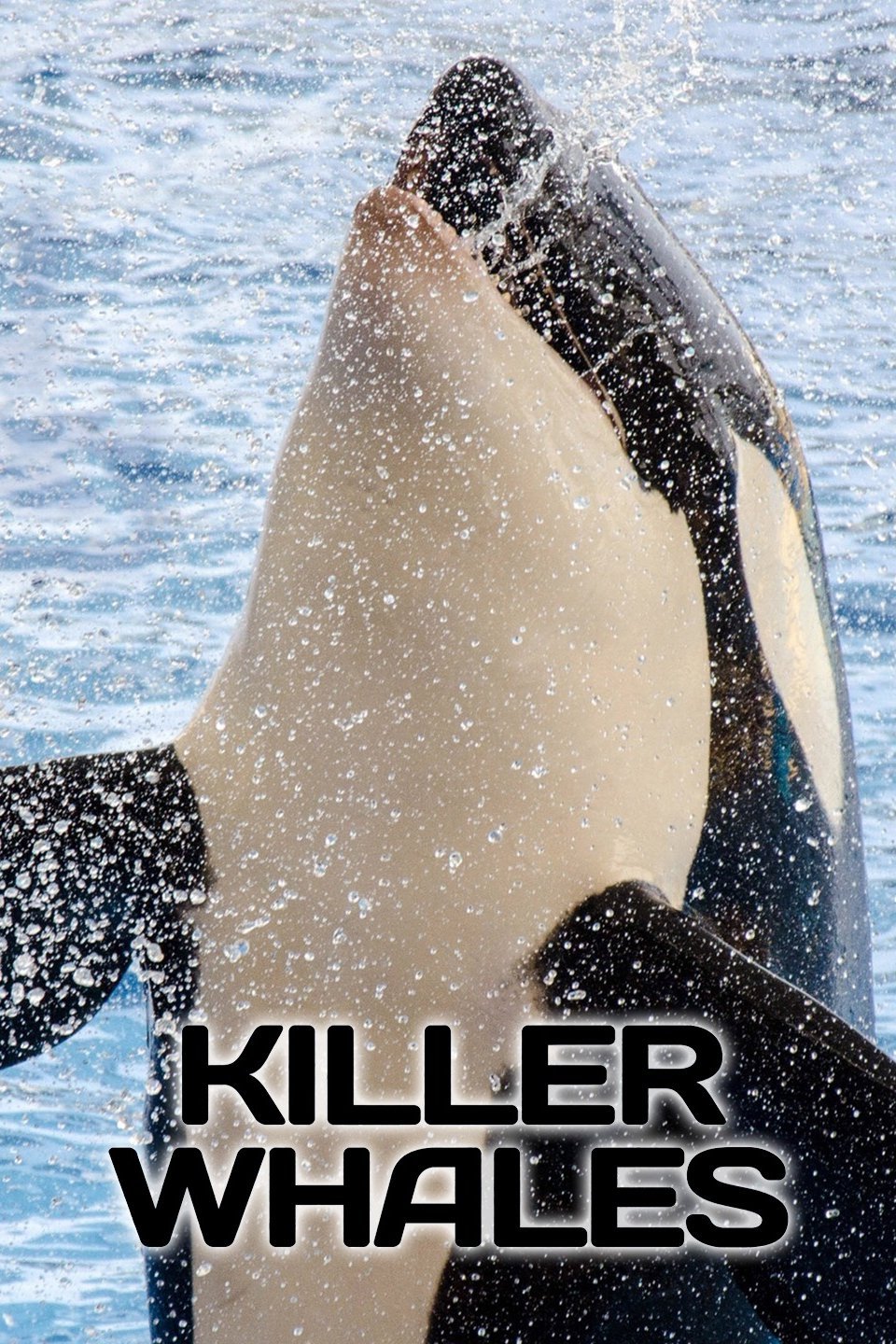 Killer Whales